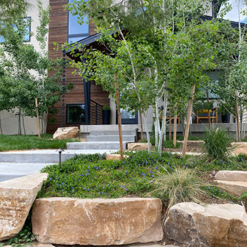 Mountain inspired minimalist boulder retaining walls and plantings.