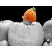Teresa Taintor's photo