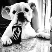 Tara Dickmans foto