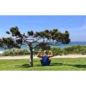 Angel Romo's photo