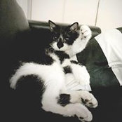 Aya Anze's photo