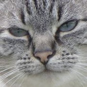Susan Grimshaw's photo