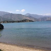Brandon Oles's photo
