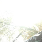 Amanda's photo