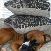 Charmie Uher's photo