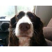 Tammy Robinson's photo