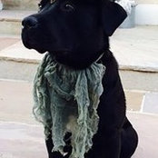 Sebo Cerqueira's photo