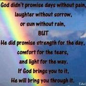 Alfy Hall's photo