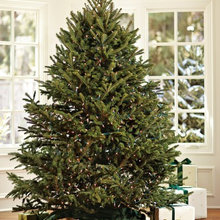 Christmas Ideas
