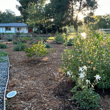 Encinitas Pollinator Garden
