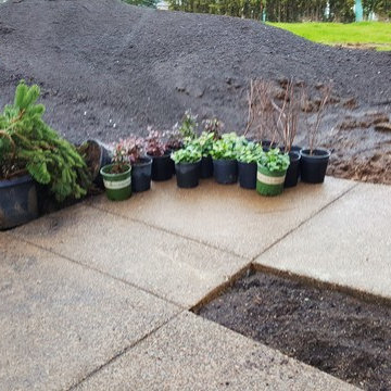 OregonCity EcoLawn, Sod, Sprinklers & Puppies. QUESTIONING WHY A NEW REVIEW???
