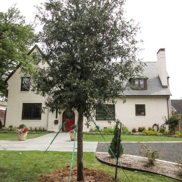 Evergreen Trees & Shrubs