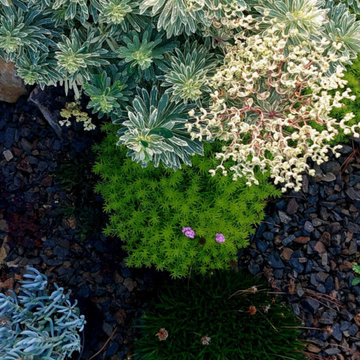 Kennedys Bush