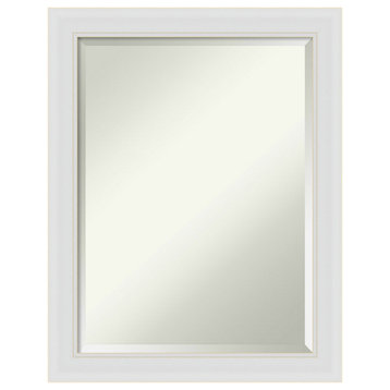 Flair Soft White Narrow Beveled Wall Mirror - 22 x 28 in.