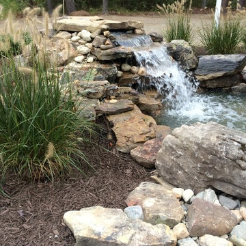 Back Yard Oasis