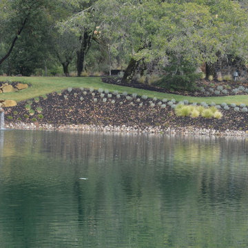 Adobe Canyon Estates (Guest House)