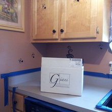 Kitchen counter redo Giani alternative