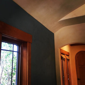 Lyons Interior Plaster