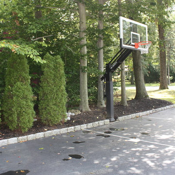 Daniel O's Pro Dunk Platinum Basketball System on a 58x30 in New City, NY