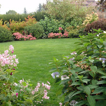Gardening ideas