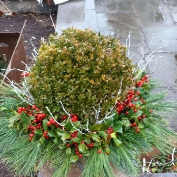 Winter Arrangements