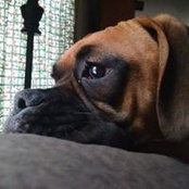 Sarah Lepoff's photo