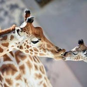 Ruth Trainor's photo