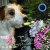 Barbara Bancroft's photo