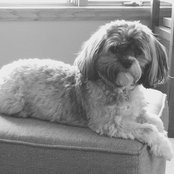 Beth Clobes's photo