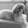 beth_clobes