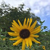 Rachel Rakowski's photo