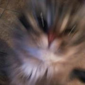 Valerie Scott Newkirk's photo