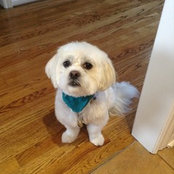 Helaine Stoller's photo