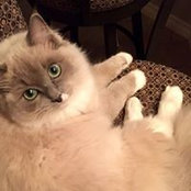Diane Renter's photo