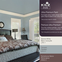 One Coat&trade; Paint - Paint