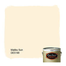 Paint swatches