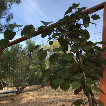 Danville Two Acre Food Forest!