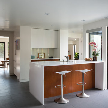 San Francisco Eichler Remodel