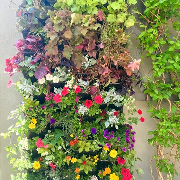 Annual Plantings
