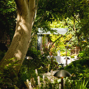 Modern and tranquil Chiswick Garden