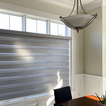 Springblinds Premium Zebra Dual Sheer Shades