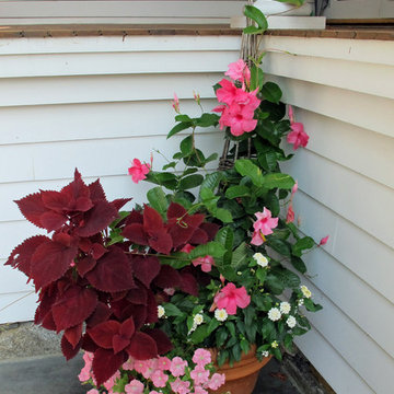 Planter & Container Garden Design - Fairfield County, CT