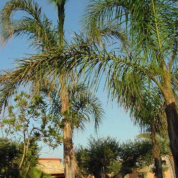 Giardino a Marsala