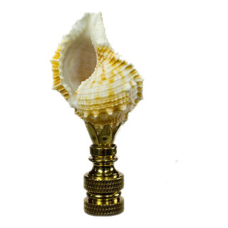  Royal Designs Natural Seashell 3 Lamp Finial for Lamp