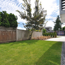 sideyard