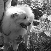 Kenneth Dees's photo
