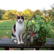 Claudette Thompson's photo