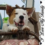 Vicki Beauchamp's photo