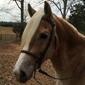 Nancy Milner's photo