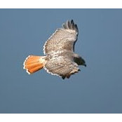 Angela McCollam's photo